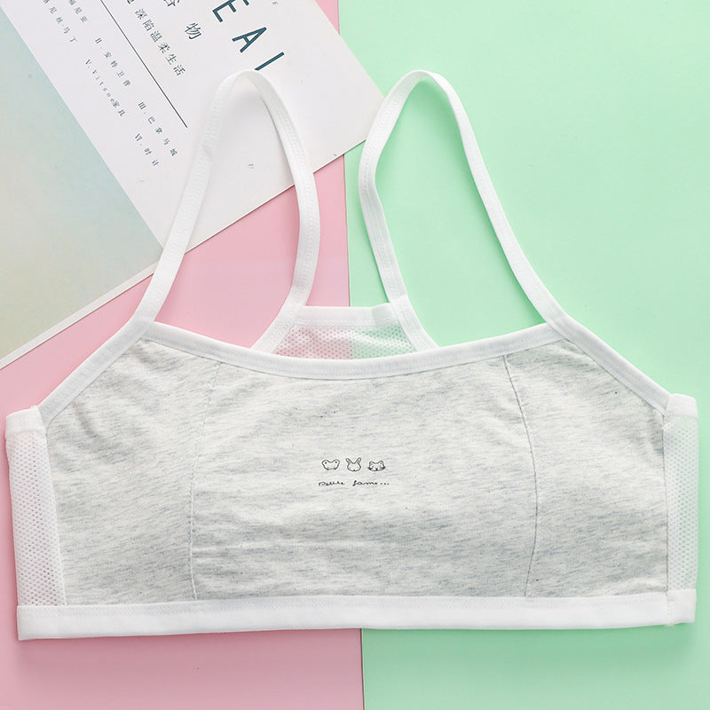 Organic Cotton Girls Underwear | Hypoallergenic Breathable Panties for Toddler to Preteen