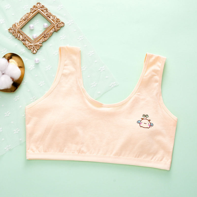 Girls Cotton Underwear | Soft Breathable Briefs for Everyday Comfort (Multipack Assorted Colors)