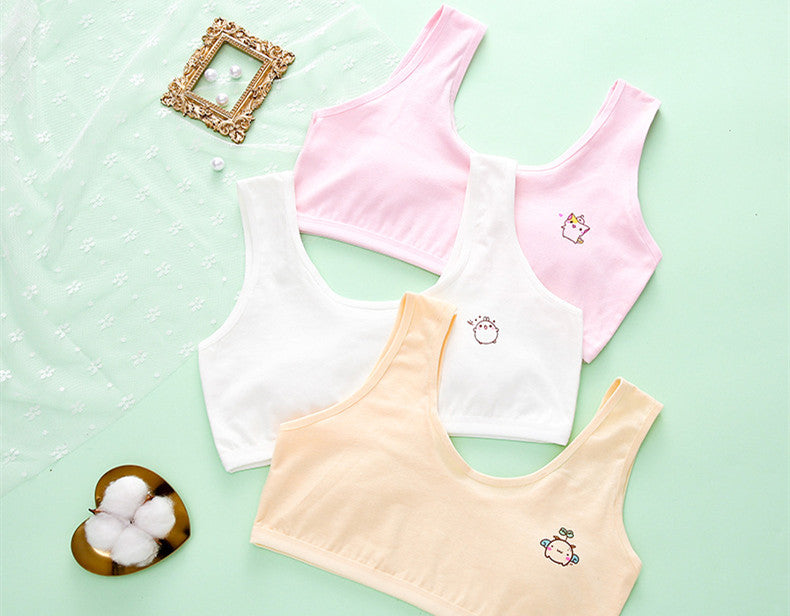 Girls Cotton Underwear | Soft Breathable Briefs for Everyday Comfort (Multipack Assorted Colors)