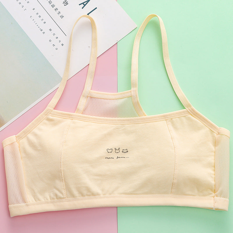 Organic Cotton Girls Underwear | Hypoallergenic Breathable Panties for Toddler to Preteen