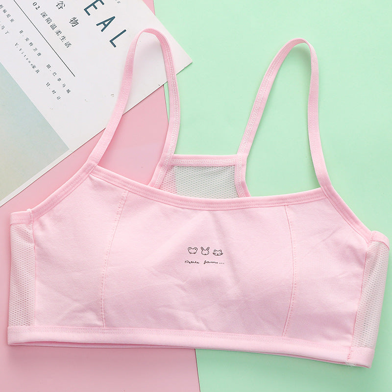 Organic Cotton Girls Underwear | Hypoallergenic Breathable Panties for Toddler to Preteen